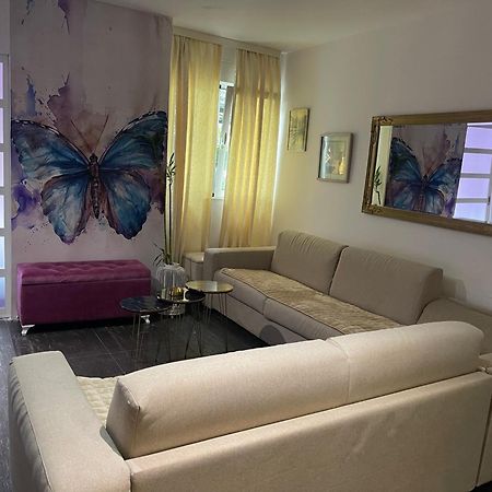 Dorotea Butterfly Budva Eksteriør billede